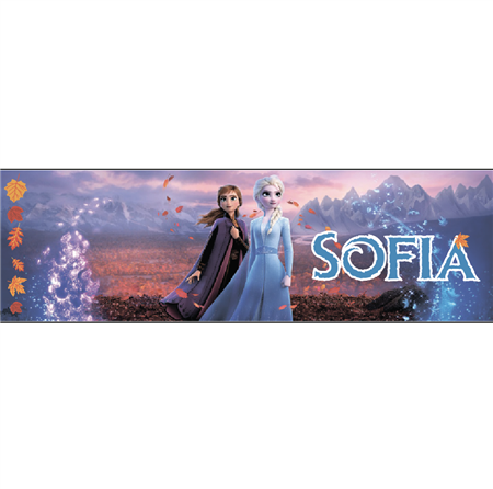 Banner de lona Frozen Pers.